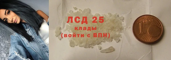 сатива Алзамай