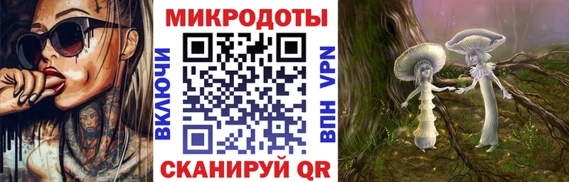 как найти закладки  Аргун  Галлюциногенные грибы мухоморы 