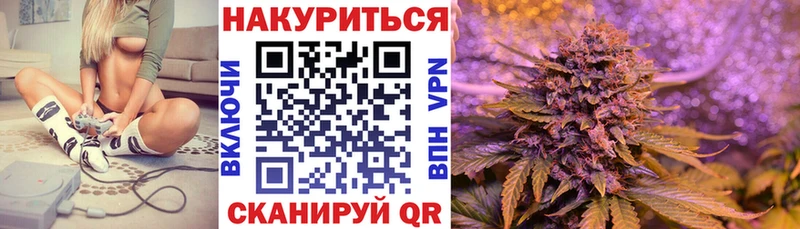 где купить   Аргун  даркнет наркотические препараты  Бошки Шишки семена 